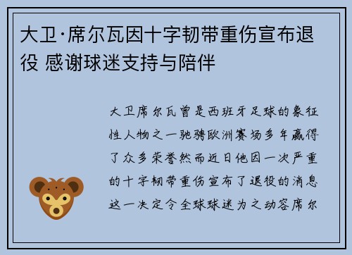 大卫·席尔瓦因十字韧带重伤宣布退役 感谢球迷支持与陪伴